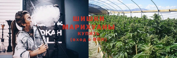 ГАЛЛЮЦИНОГЕННЫЕ ГРИБЫ Арсеньев