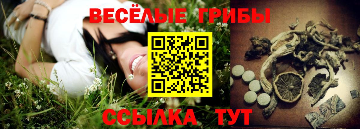Псилоцибиновые грибы GOLDEN TEACHER  как найти   Миасс  Вход с VPN 